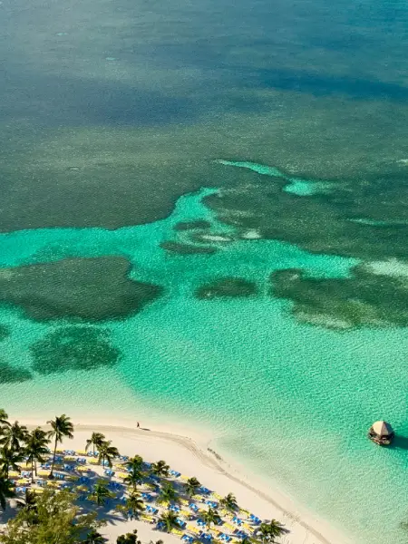Caribbean